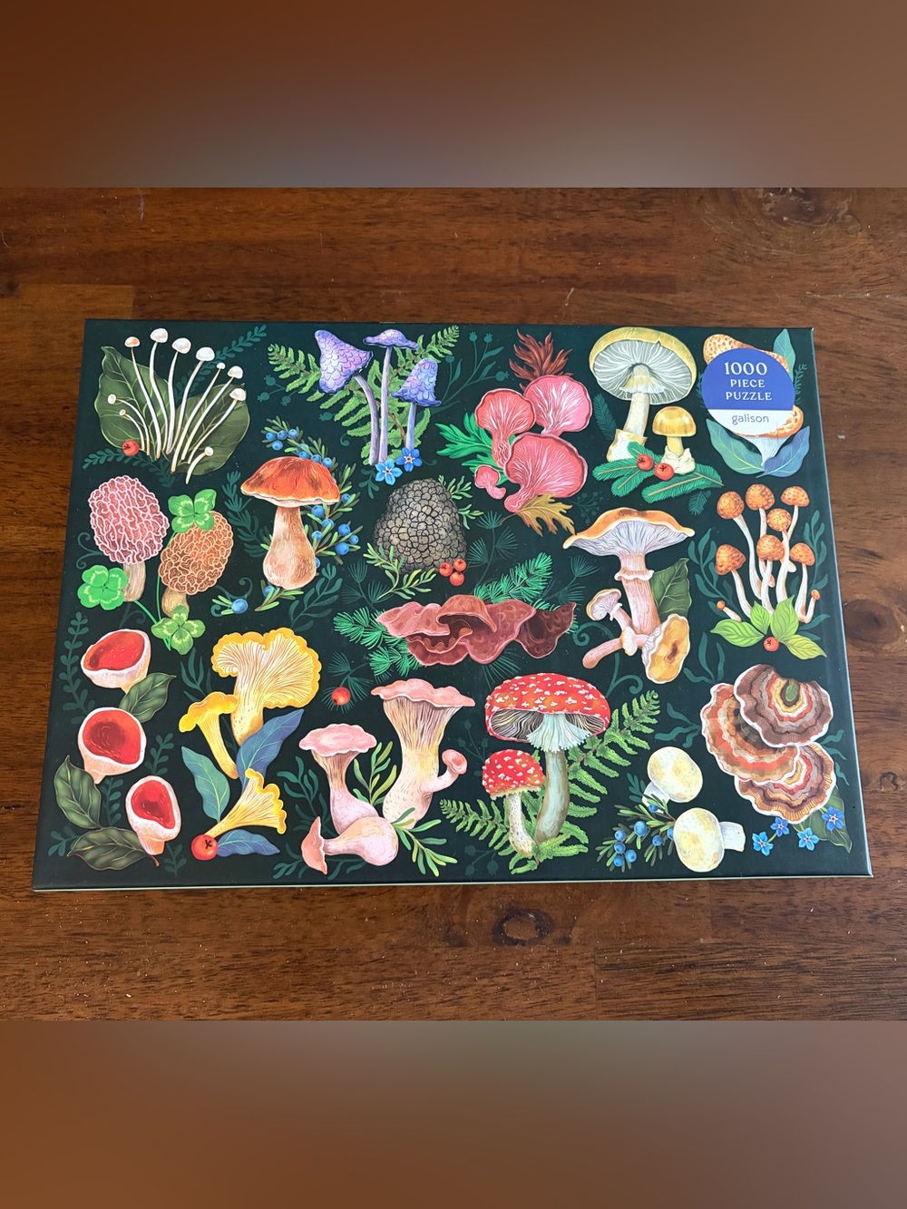 Galison 1000 piece “World of Mushrooms”